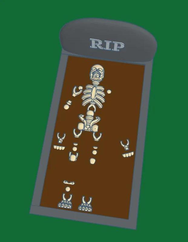 Rip skeleton
