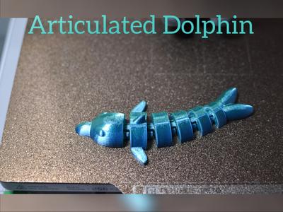 Articulated Dolphin