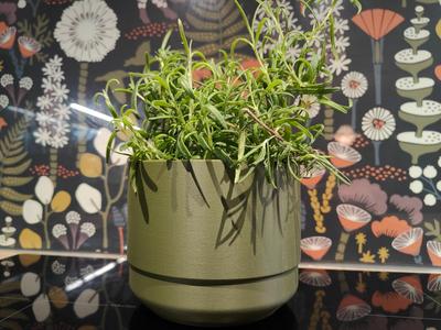 Self watering plant pot – M