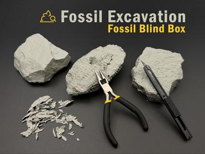 Fossil Excavation