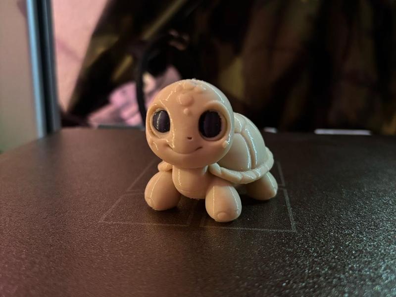 Mini Turtle Cute
