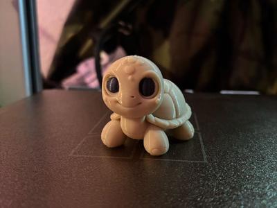 Mini Turtle Cute