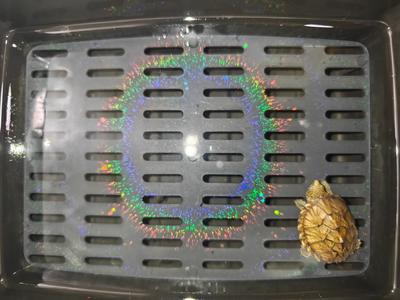 Suitable for IKEA UPPSALA turtle filter plate