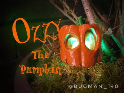 Ozzy the Pumpkin