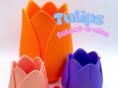 Tulip Decor Container