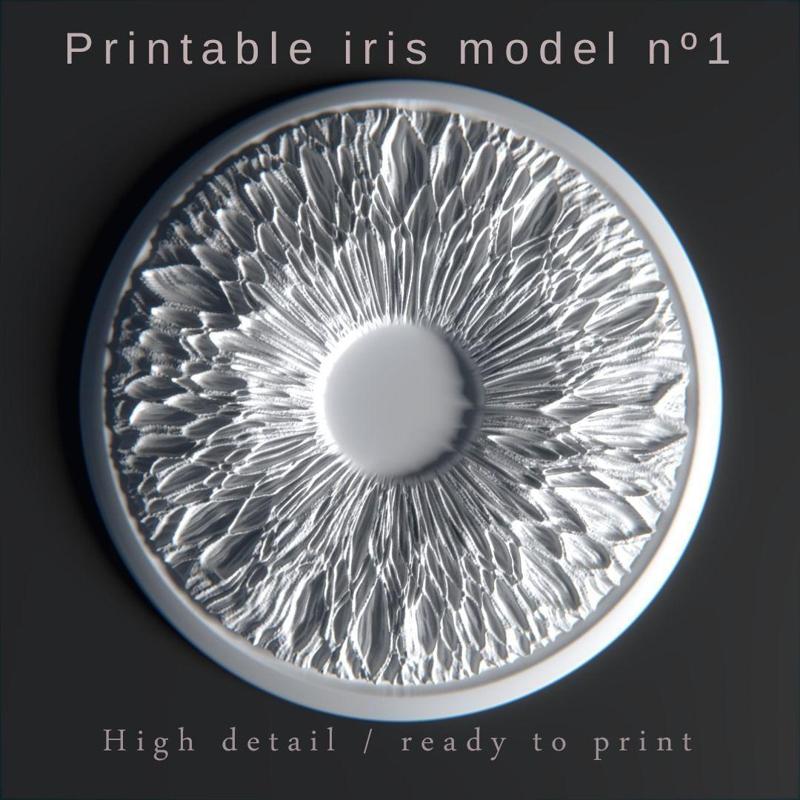 Pritable iris model 1