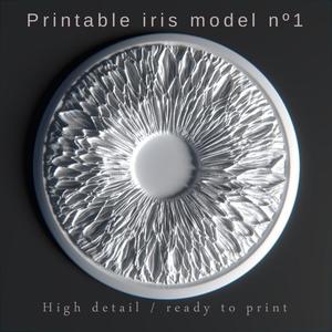 Pritable iris model 1