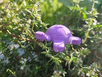 Air Layering Turtle