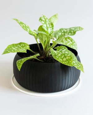 PLEIADES 001 Planter/Bowl