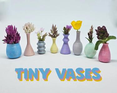 Tiny Vases