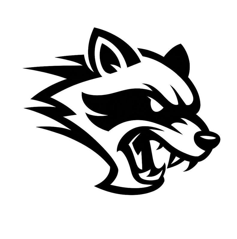 Sloppy Mechanics “Hellcoon”
