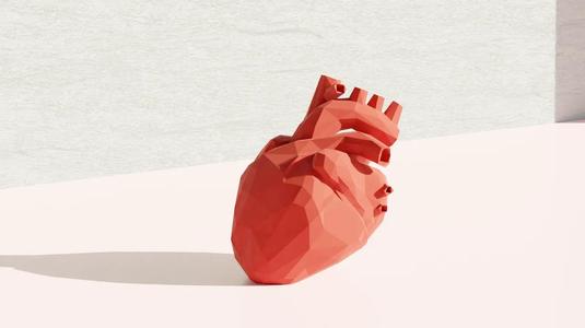Anatomical Heart – Low Poly (Decoration)