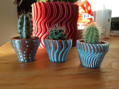 CACTACEAE Mini Pots / Vase