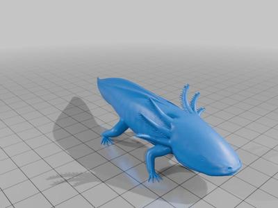 Axolotyl