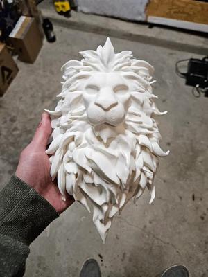 Lion’s Head