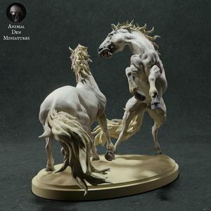 Camargue Horses – Stags Fight