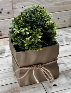 Paper Bag Planter