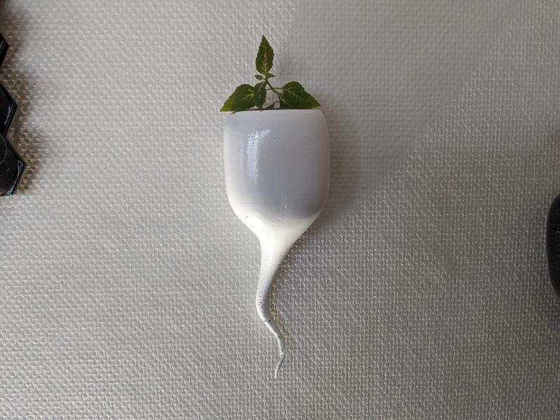 White Drop Plant Pot