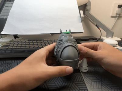 Totoro Storage Capsule Toy