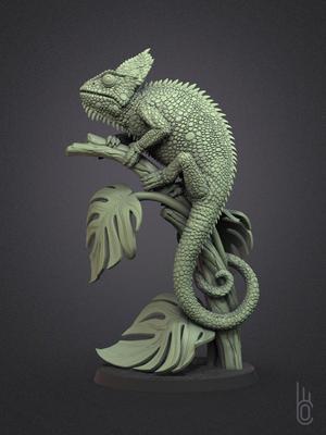 Veiled Chameleon
