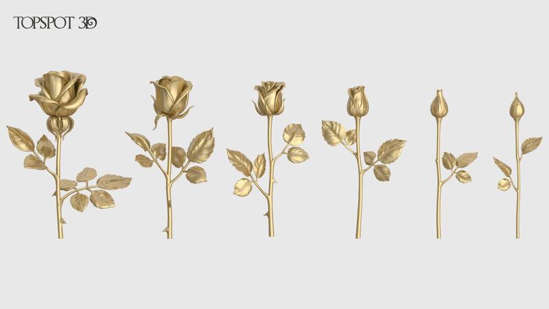 Rose Flowers Pack