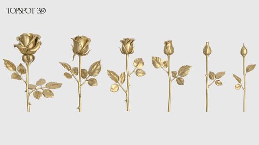 Rose Flowers Pack