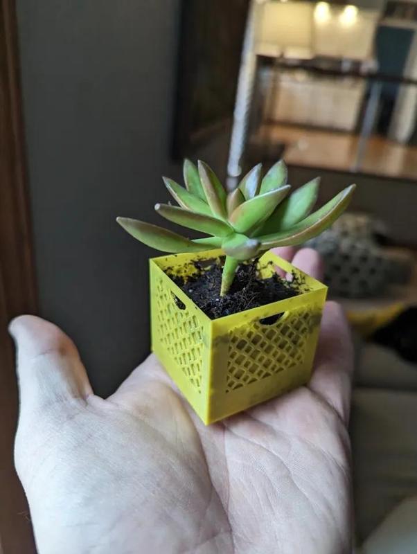 Milk Crate Planter – Vase Mode