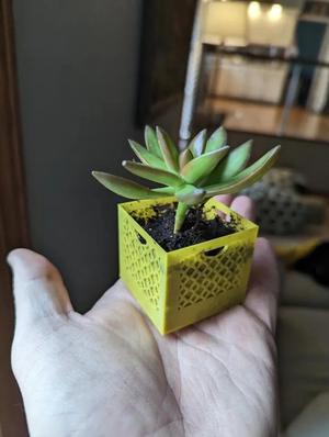 Milk Crate Planter – Vase Mode