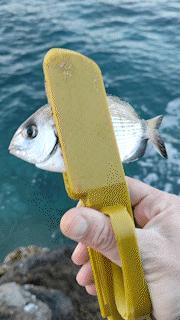 Fishing gripper