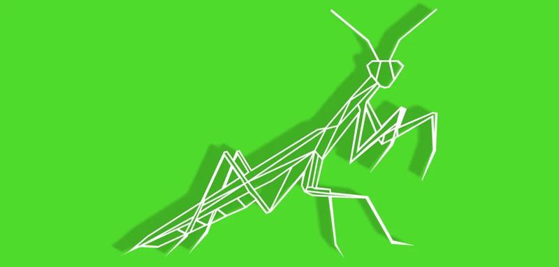 Geometric Mantis