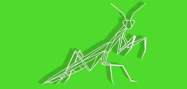 Geometric Mantis