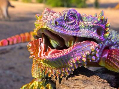 Bearded Dragon – Flexi Lizard
