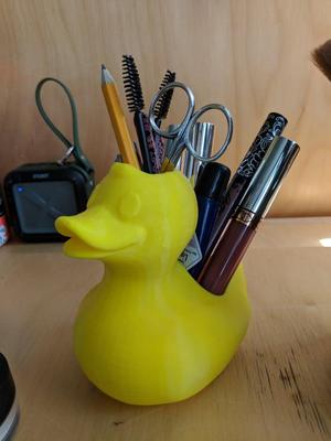 Ducky Organizer