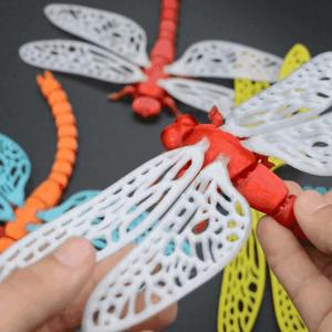 Flexi dragonfly