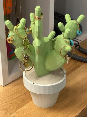 Low Poly Cactus Jewelery box