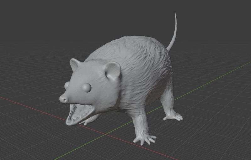 Hissing Opossum