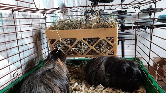 Hay rack