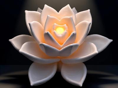 Serene Bloom – Lotus Glow – Thanks, Community!