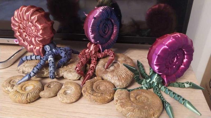 New articulated ammonite (shell, head and tentacles) flexible print-in-place