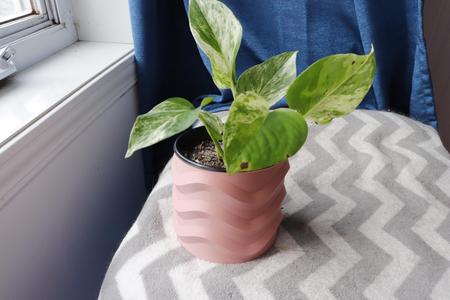 Orbit Planter