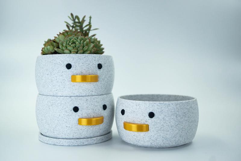 Mini Duck Planter