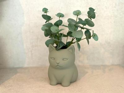 Kitten Planter