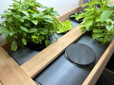 Hydroponic Net Cup Cover   