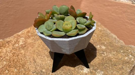 Legged Low Poly Pot