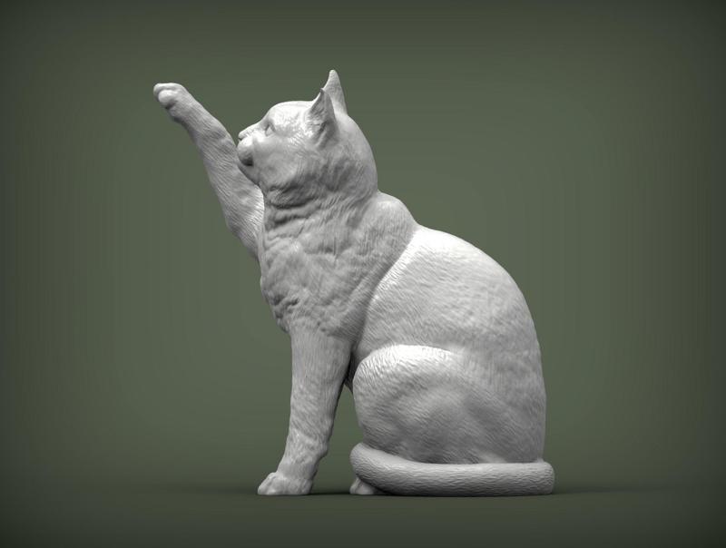 Cat for 3d printing
