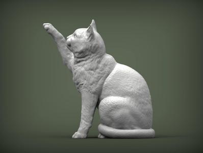 Cat for 3d printing