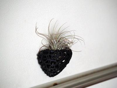 Voronoi Air Plant Holder for Refrigerator