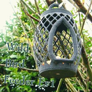 Wild bird feeder ev1