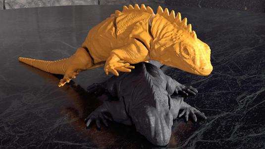 lizard