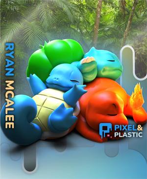 Sleeping Starter Pokemon